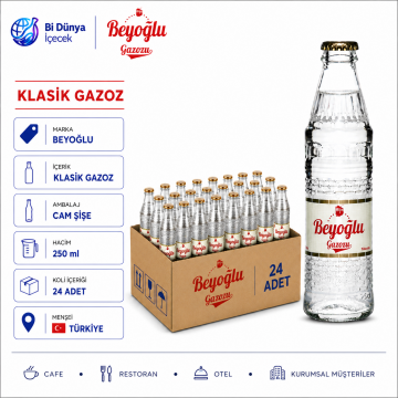 Beyoğlu Klasik Gazoz 250 ml x 24