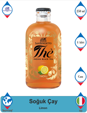 SAN BENEDETTO Indıan Black Tea Limon 250 ML x 4